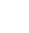 Wicked Violetta