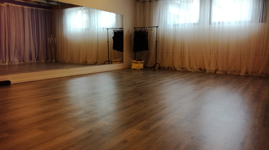 Salin vuokraus toistaiseksi pois